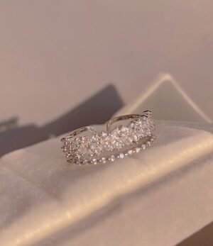 Ring_Meva_1