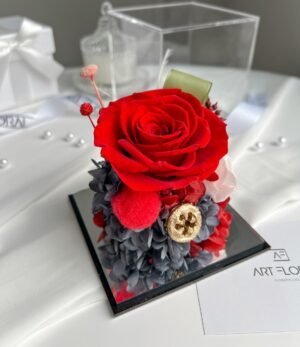 Ewige_rote_Blumen_in_Transparenter_Box_2