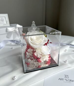 Ewige_weiße_Blumen_in_Transparenter_Box_1