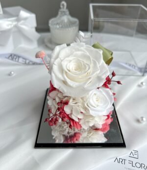 Ewige_weiße_Blumen_in_Transparenter_Box_2
