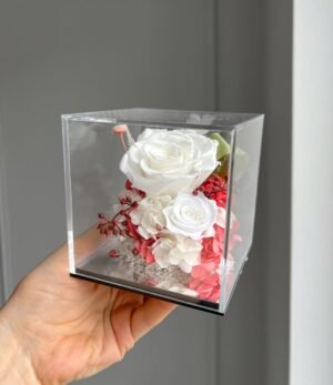 Ewige_weiße_Blumen_in_Transparenter_Box_3