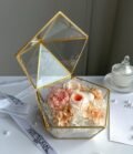 Blumen_Terrarium_Rosétraum_Schatulle_1
