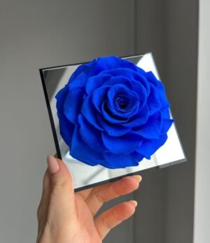Ewige_blaue_Rose_im_Acrylrahmen_2