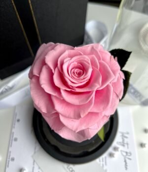 Ewige_rosa_Herz_Rose_im_Glas_3