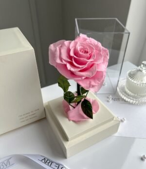 Ewige rosa Herz-Rose