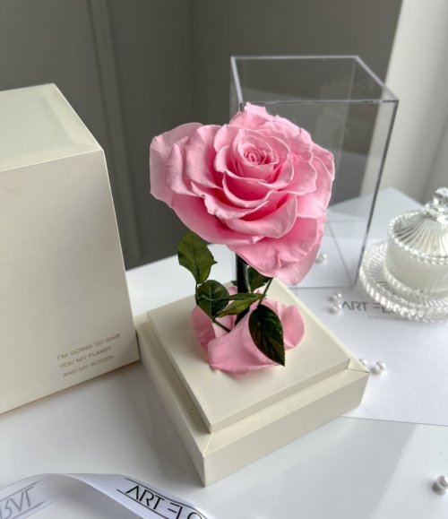 Ewige rosa Herz-Rose