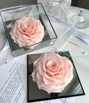 Ewige_rosa_Rose_im_Acrylrahmen_1