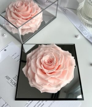 Ewige_rosa_Rose_im_Acrylrahmen_4