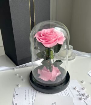 Ewige_rosa_Rose_im_Glas_1