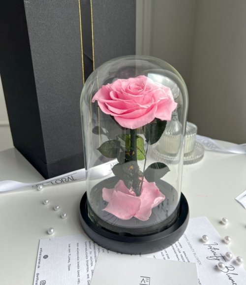 Ewige_rosa_Rose_im_Glas_1
