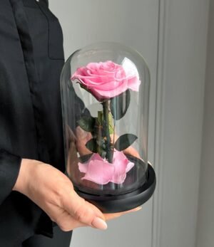 Ewige_rosa_Rose_im_Glas_2