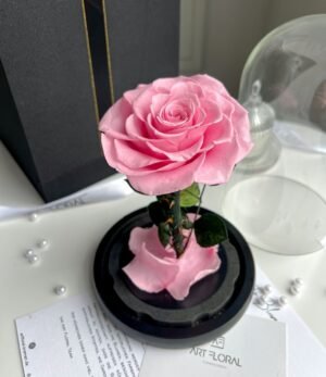 Ewige_rosa_Rose_im_Glas_3