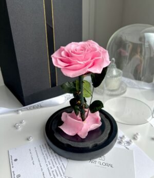 Ewige_rosa_Rose_im_Glas_5