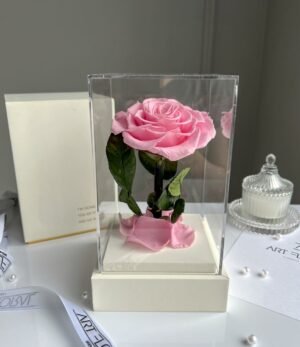 Ewige_rosa_Rose_im_weißen_Acryltower_3