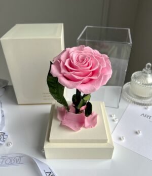Ewige_rosa_Rose_im_weißen_Acryltower_4