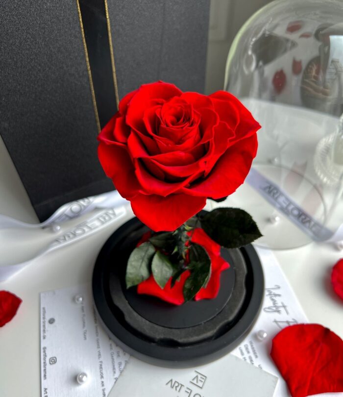 Ewige_rote_Herz_Rose_im_Glas_4