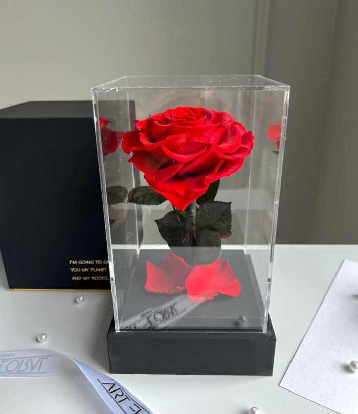 Ewige rote Herz-Rose