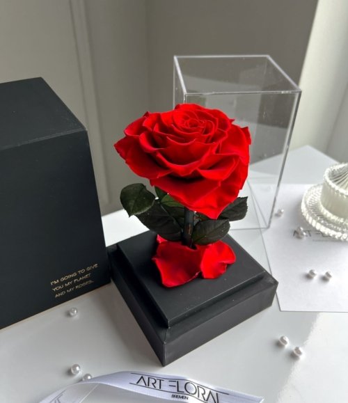 Ewige_rote_Herz_Rose_im_schwarzen_Acryltower_2