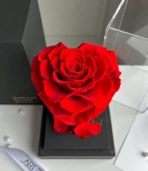Ewige_rote_Herz_Rose_im_schwarzen_Acryltower_3