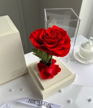 Ewige_rote_Herz_Rose_im_weißen_Acryltower_1