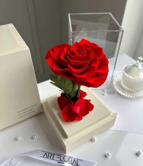Ewige_rote_Herz_Rose_im_weißen_Acryltower_1