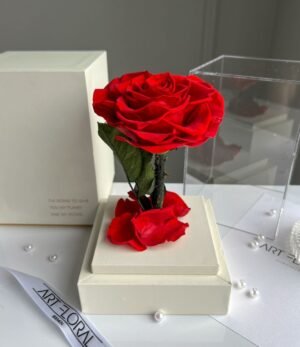 Ewige rote Herz-Rose
