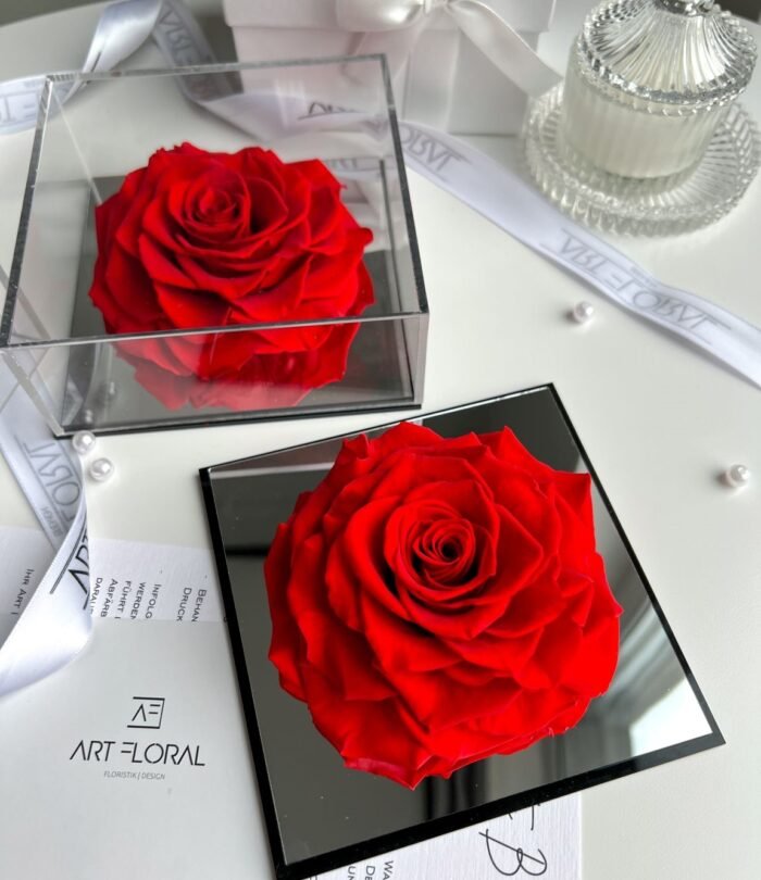 Ewige_rote_Rose_im_Acrylrahmen_1