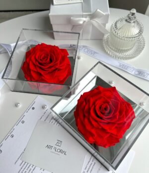Ewige_rote_Rose_im_Acrylrahmen_2