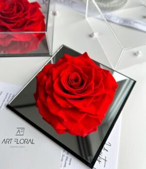 Ewige_rote_Rose_im_Acrylrahmen_3