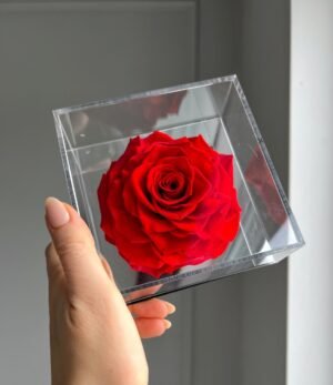 Ewige_rote_Rose_im_Acrylrahmen_4