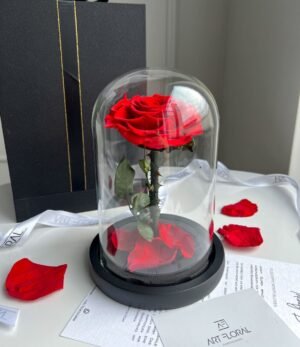 Ewige_rote_Rose_im_Glas_1
