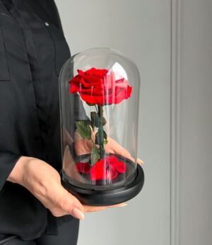 Ewige_rote_Rose_im_Glas_2