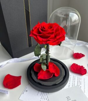 Ewige_rote_Rose_im_Glas_3