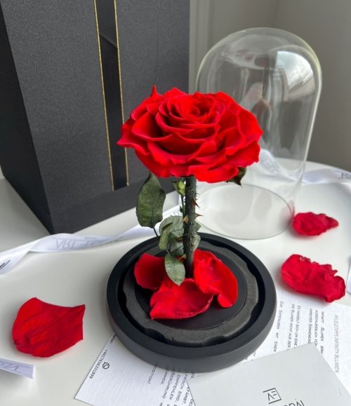 Ewige_rote_Rose_im_Glas_3
