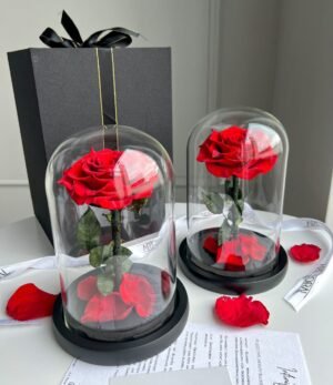 Ewige_rote_Rose_im_Glas_4
