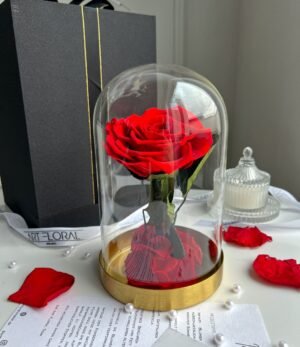 Ewige_rote_Rose_im_Glas_und_Gold_1