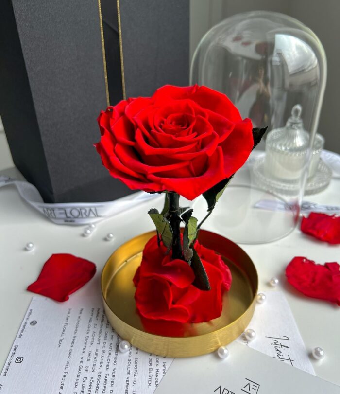 Ewige_rote_Rose_im_Glas_und_Gold_3