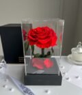 Ewige_rote_Rose_im_schwarzen_Acryltower_1
