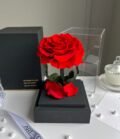 Ewige_rote_Rose_im_schwarzen_Acryltower_2