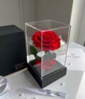 Ewige_rote_Rose_im_schwarzen_Acryltower_4