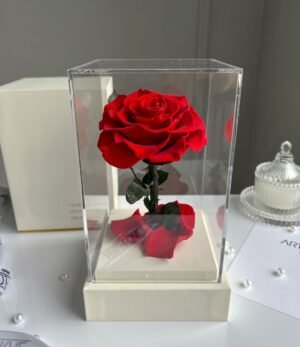 Ewige_rote_Rose_im_weißen_Acryltower_3