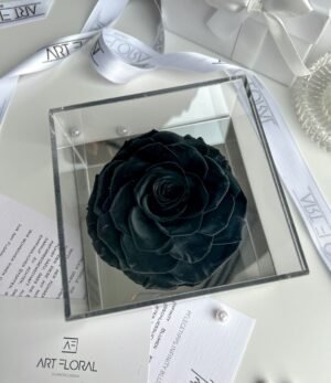 Ewige_schwarze_Rose_im_Acrylrahmen_1