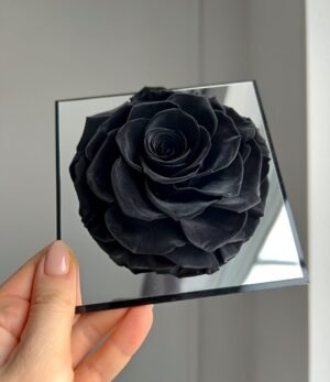 Ewige_schwarze_Rose_im_Acrylrahmen_2