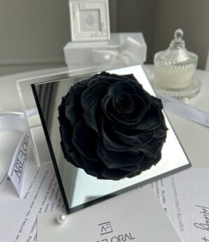 Ewige_schwarze_Rose_im_Acrylrahmen_3
