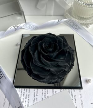 Ewige_schwarze_Rose_im_Acrylrahmen_5
