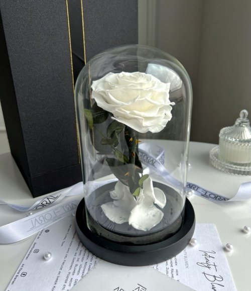 Ewige weiße Herz-Rose im Glas