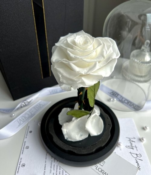 Ewige_weiße_Herz_Rose_im_Glas_3