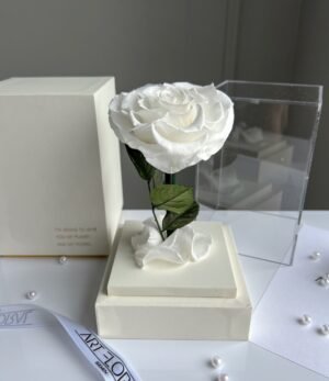 Ewige_weiße_Herz_Rose_im_weißen_Acryltower_2