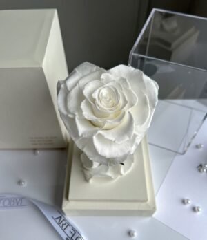 Ewige_weiße_Herz_Rose_im_weißen_Acryltower_3