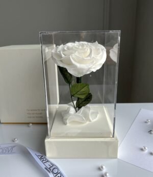 Ewige weiße Herz-Rose